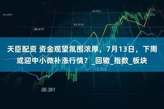天臣配资 资金观望氛围浓厚，7月13日，下周或迎中小微补涨行情？_回辙_指数_板块