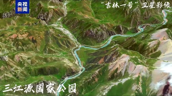 互利配资 虎豹翻倍 猿声重现！卫星俯瞰中国“最美国土”生灵复苏