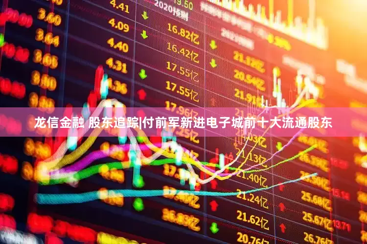 龙信金融 股东追踪|付前军新进电子城前十大流通股东