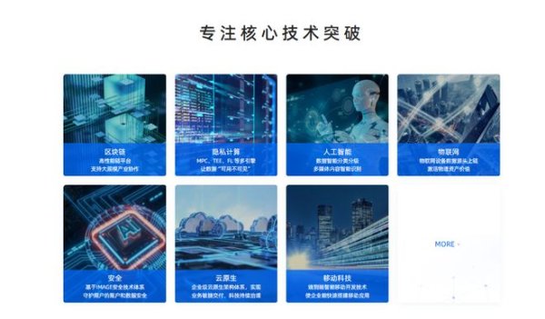 九五配资 拥抱区块链！蚂蚁集团将80亿美元能源资产“上链”