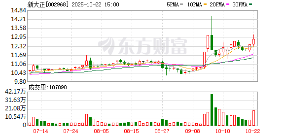 淘配网配资 新大正：关于完成工商变更登记并换发营业执照的公告